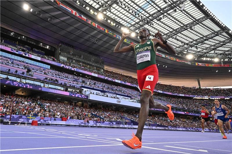 لاميتشا جيرما