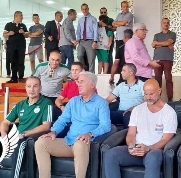 فلاديمير بيتكوفيتش