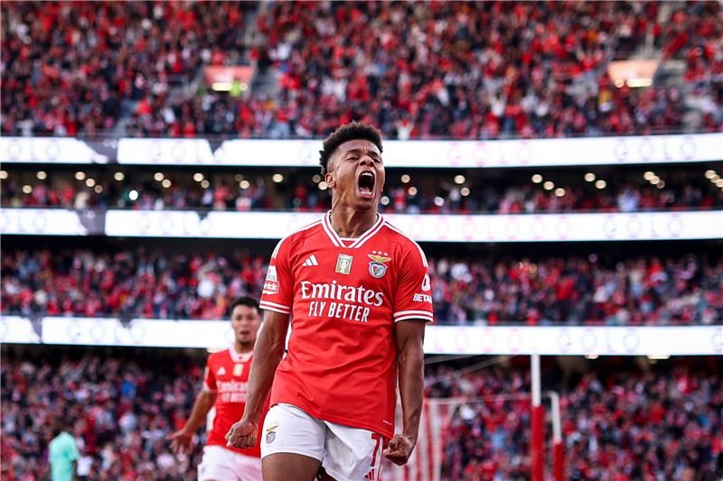 ديفيد نيريس