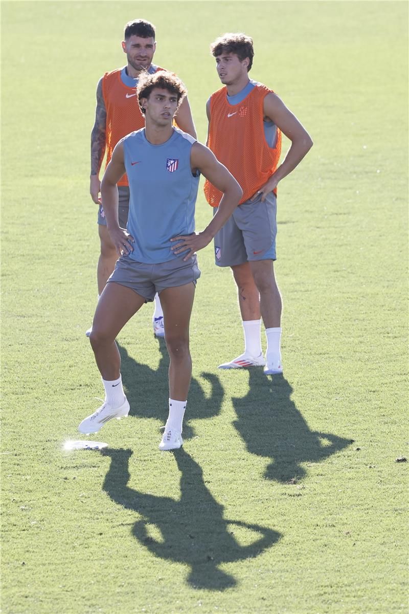 من تدريبات الفريق