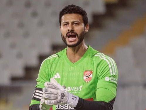 محمد الشناوي