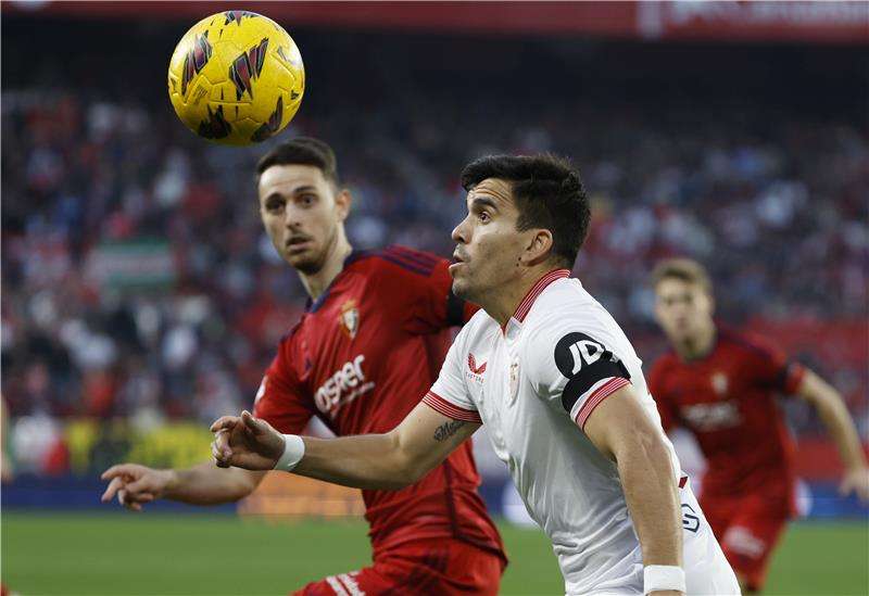 ماركوس أكونيا