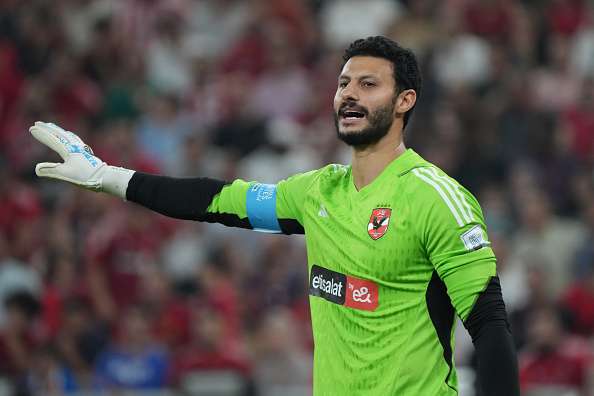 محمد الشناوي