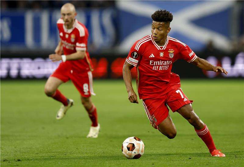 ديفيد نيريس