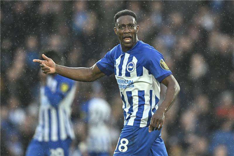 داني ويلباك