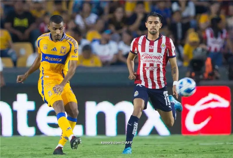 ?i=afp%2f20240825%2f20240825-afp_36et86v_afp