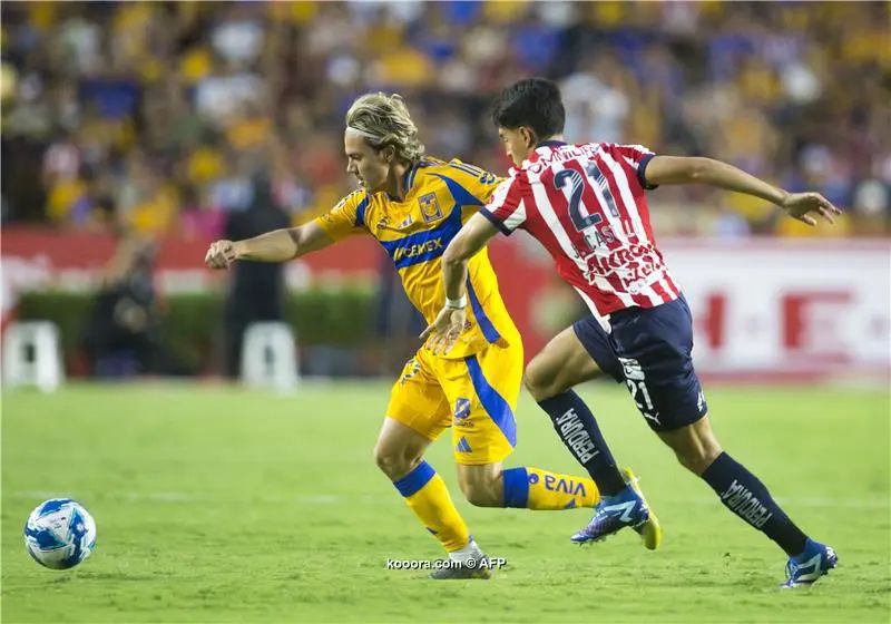 ?i=afp%2f20240825%2f20240825-afp_36et86x_afp