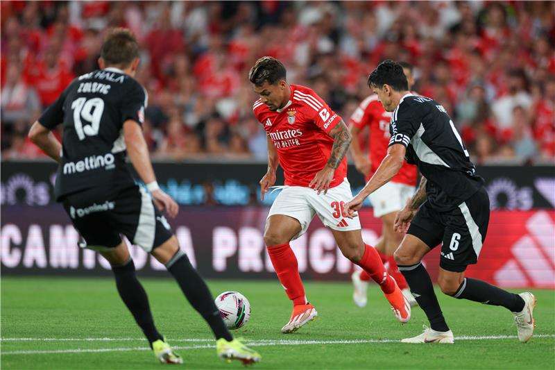 ماركوس ليوناردو