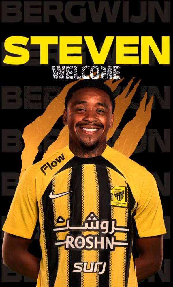 ستيفن بيرجوين