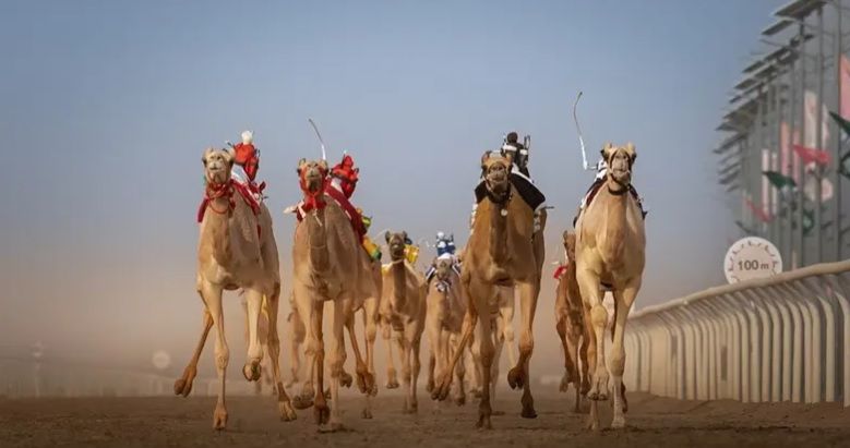 أرشيفية