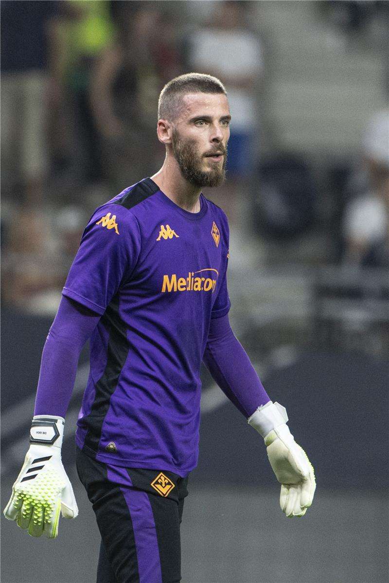 ديفيد دي خيا