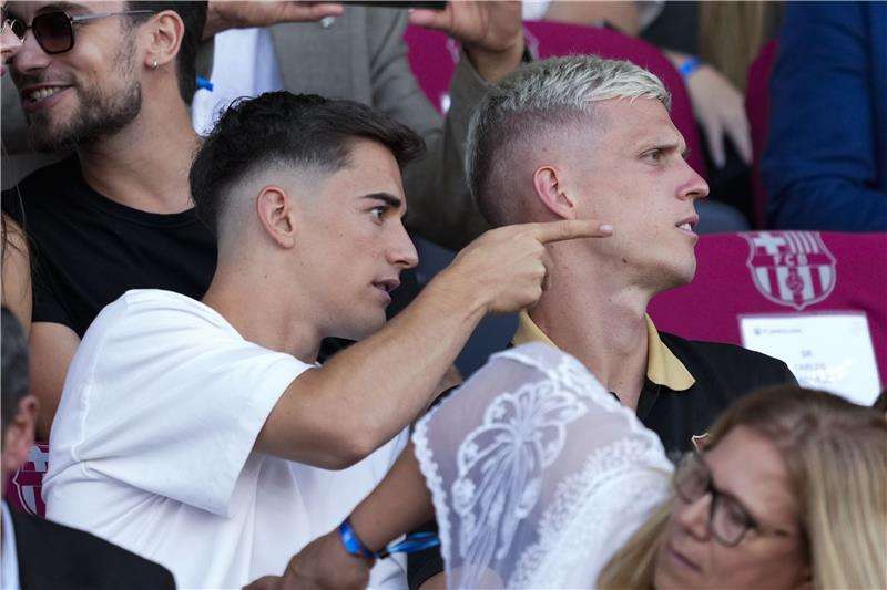 أولمو - جافي