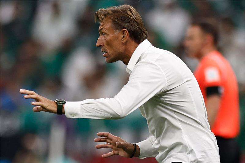 هيرفي رينارد