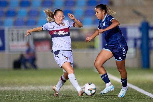 غزلان الشباك