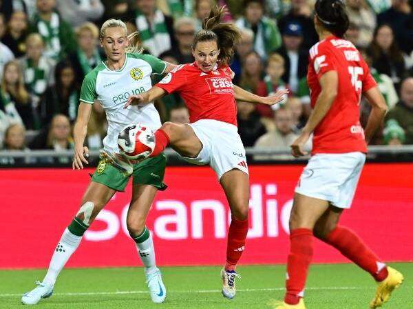 هاماربي السويدي وبنفيكا البرتغالي