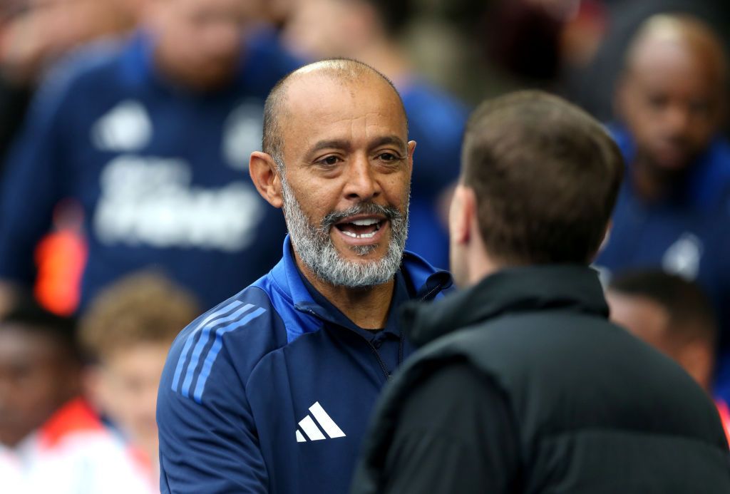 نونو سانتو وفابيان هورزلر