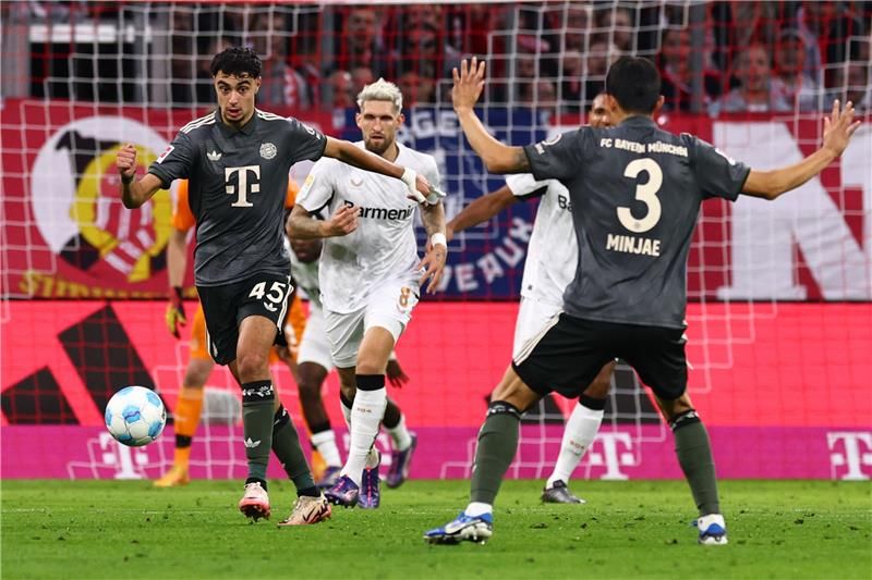 ألكسندر بافلوفيتش