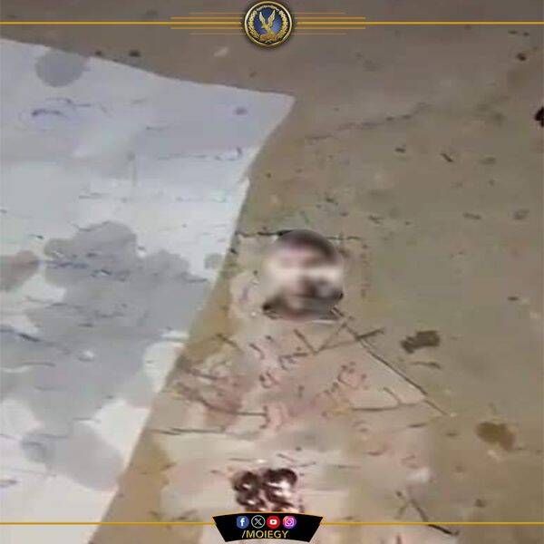 461400561_948124024017649_4195343860065588008_n