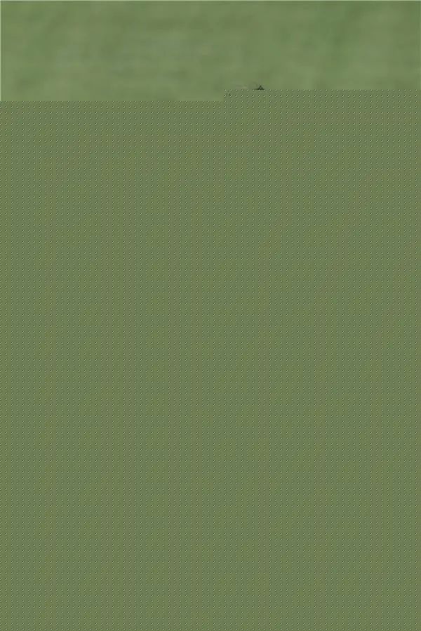 ?i=epa%2fsoccer%2f2015-04%2f2015-04-04%2f2015-04-04-04691701_epa