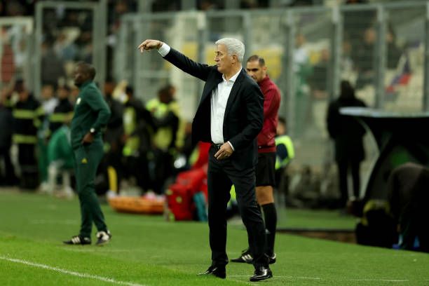 فلاديمير بيتكوفيتش