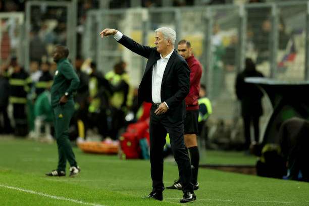 فلاديمير بيتكوفيتش