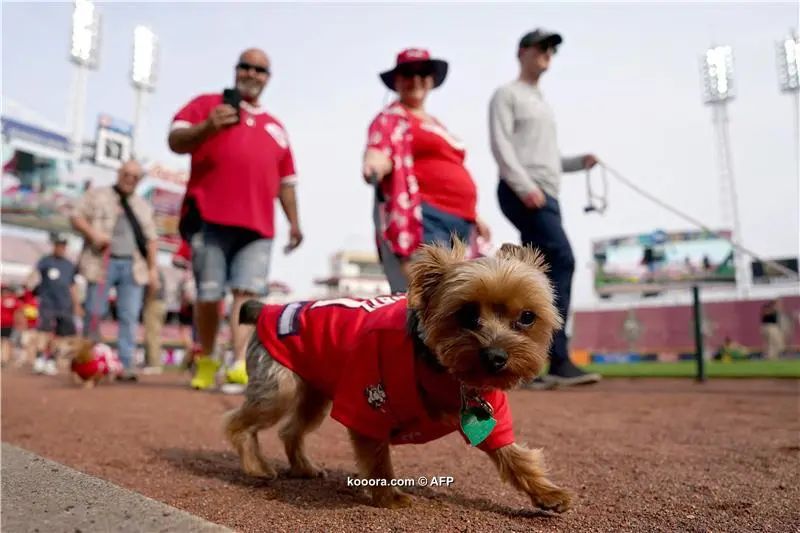 ?i=afp%2f20240522%2f20240522-2154202711_afp