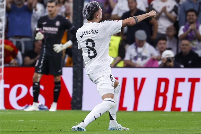 فيدي فالفيردي