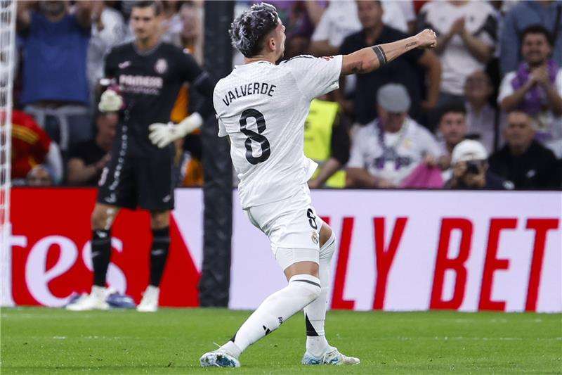 فيدي فالفيردي