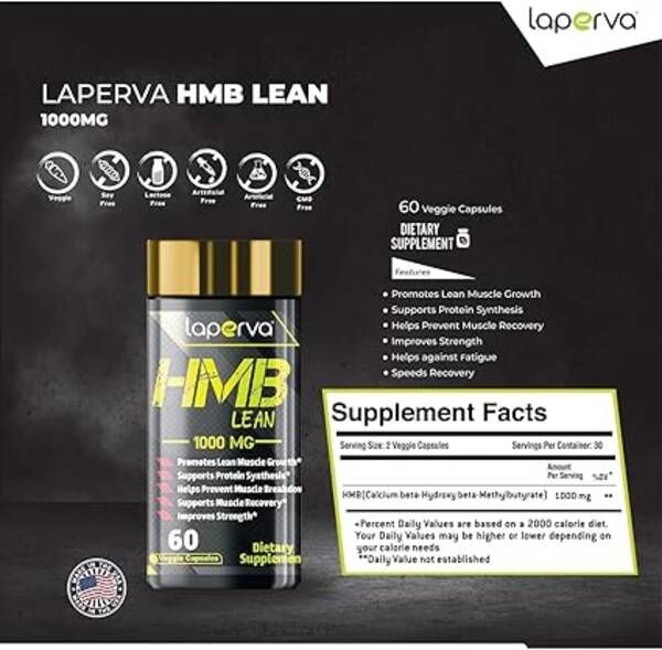 71UU59JmWZL._AC_SX425_