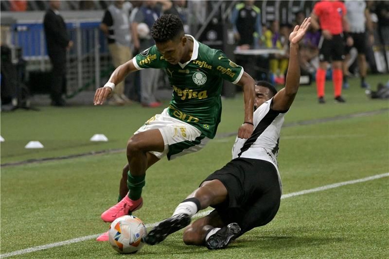 إستيفاو ويليان