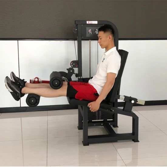 Leg-Extension-Leg-Curl