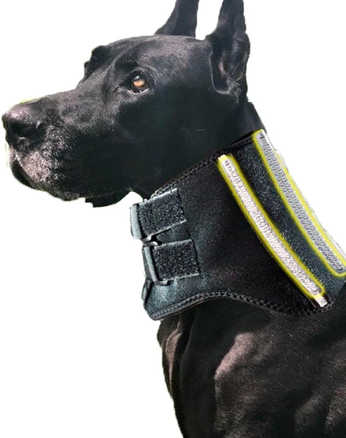 61US7w06JLL._AC_SX679_