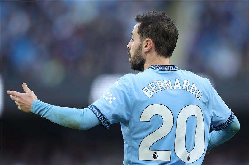 برناردو سيلفا