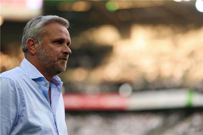 ديتمار هامان