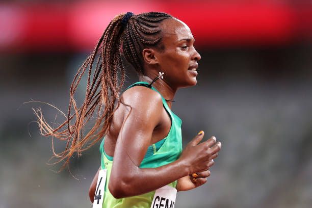 تسيهاي جيميشو