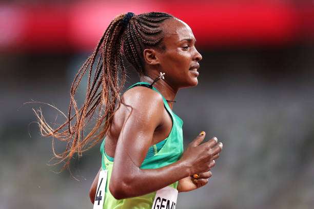 تسيهاي جيميشو