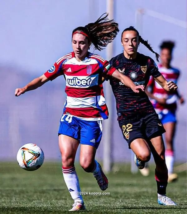 ?i=corr%2f542%2fkoo_542906