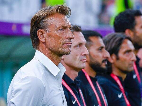 هيرفي رينارد