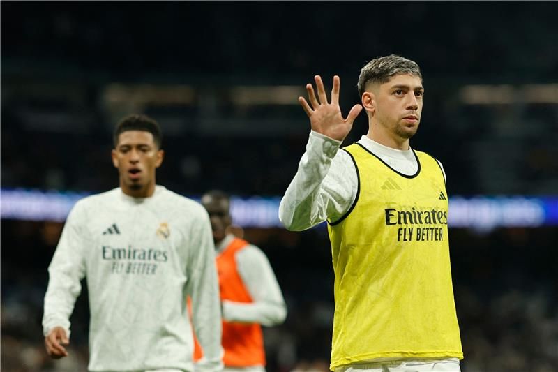 فيدي فالفيردي