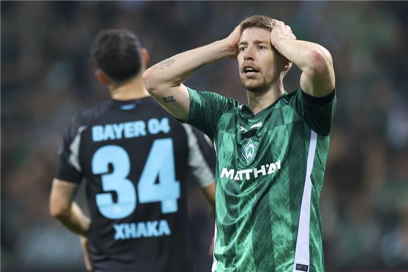 ميتشيل فايزر