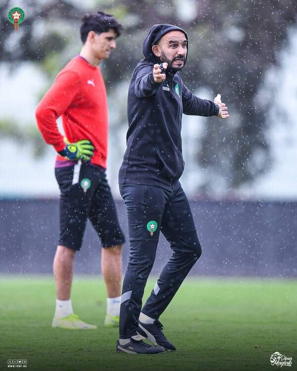 وليد الركراكي