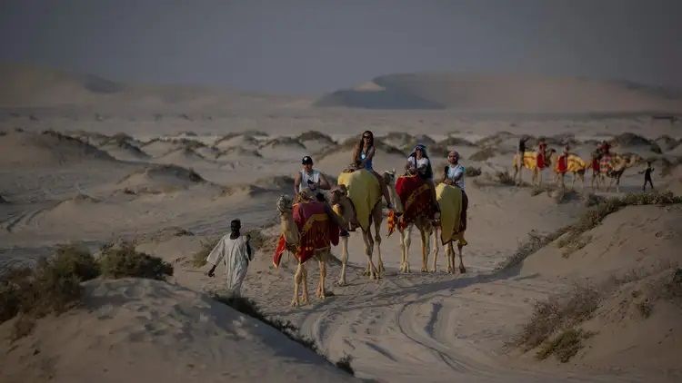 Doha%20desert%20camels