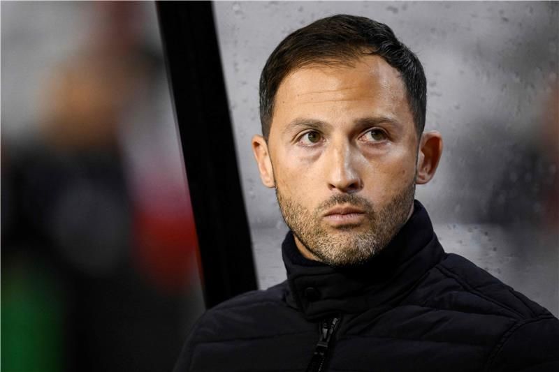 دومينيكو تيديسكو