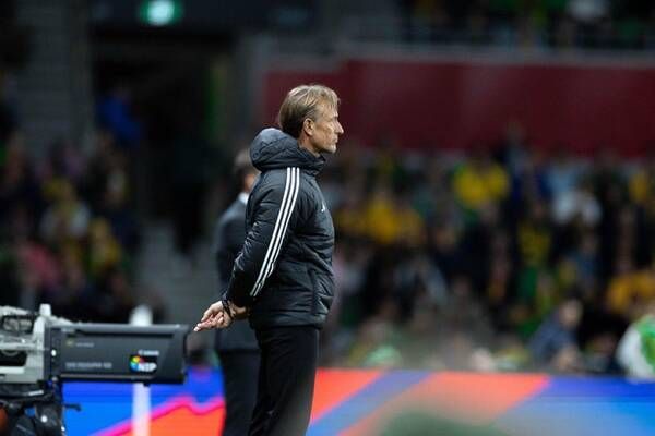 هيرفي رينارد