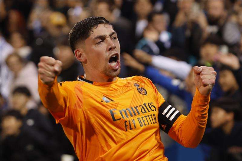 فيدي فالفيردي