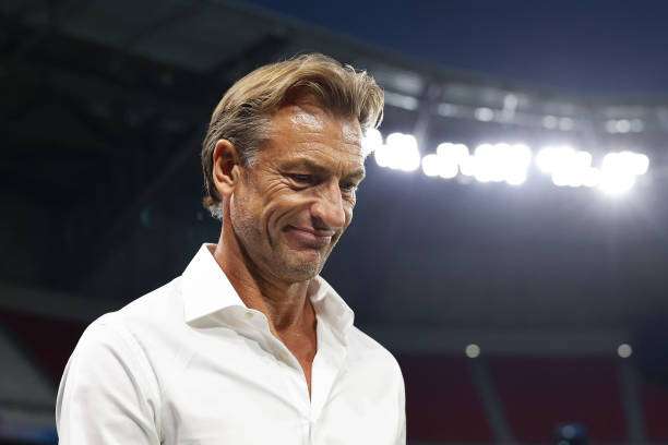 هيرفي رينارد