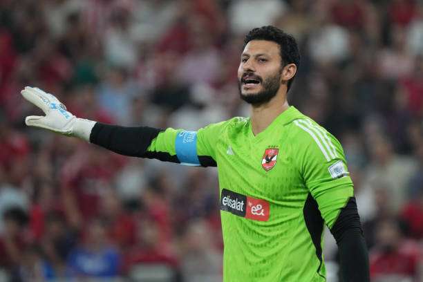 محمد الشناوي