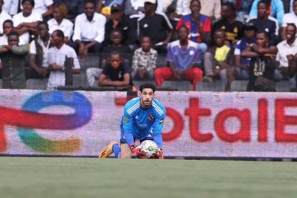 مصطفي شوبير