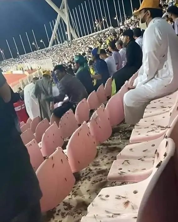 329992814_923133042062284_9217538709157378583_n