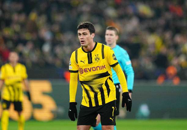 جيوفاني رينا